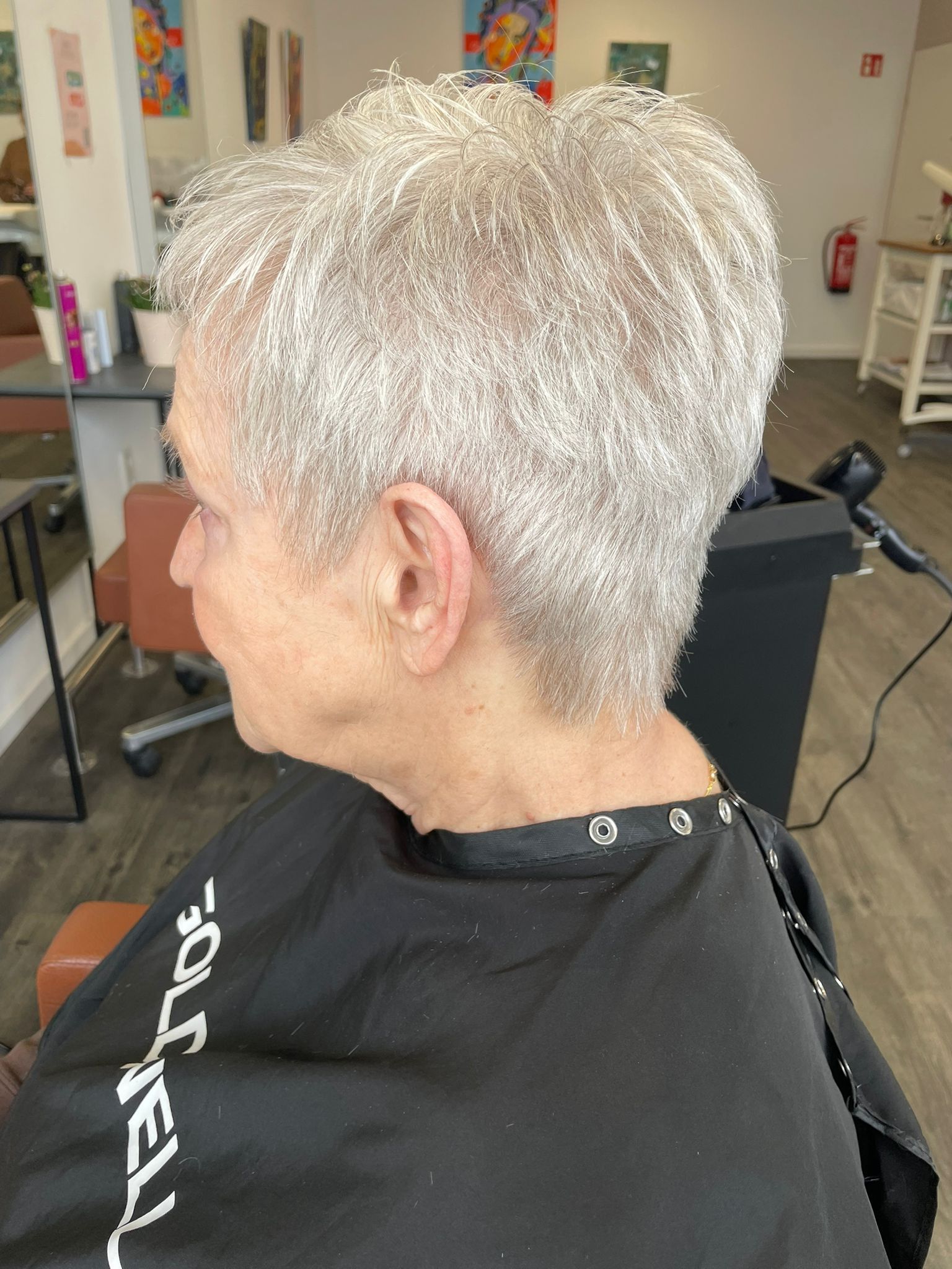 Pixie Cut Silbergrau – Damenhaarschnitt Heepen