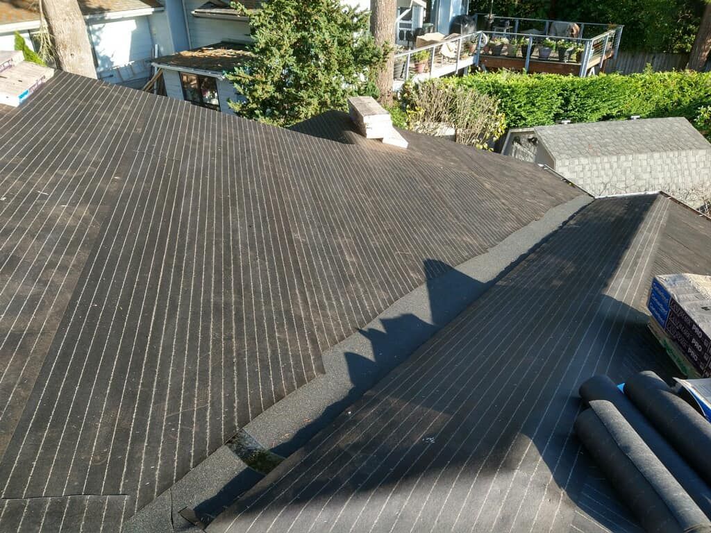 Dark shingled rooftops seen from above, with chimneys and trees in the background.