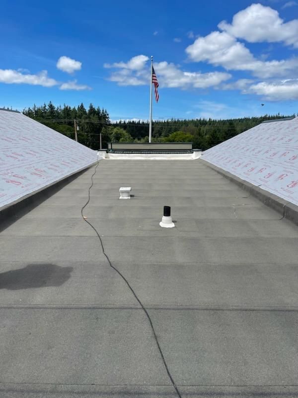 Flat rooftop with skylights, central flagpole, and blue sky over a forested horizon