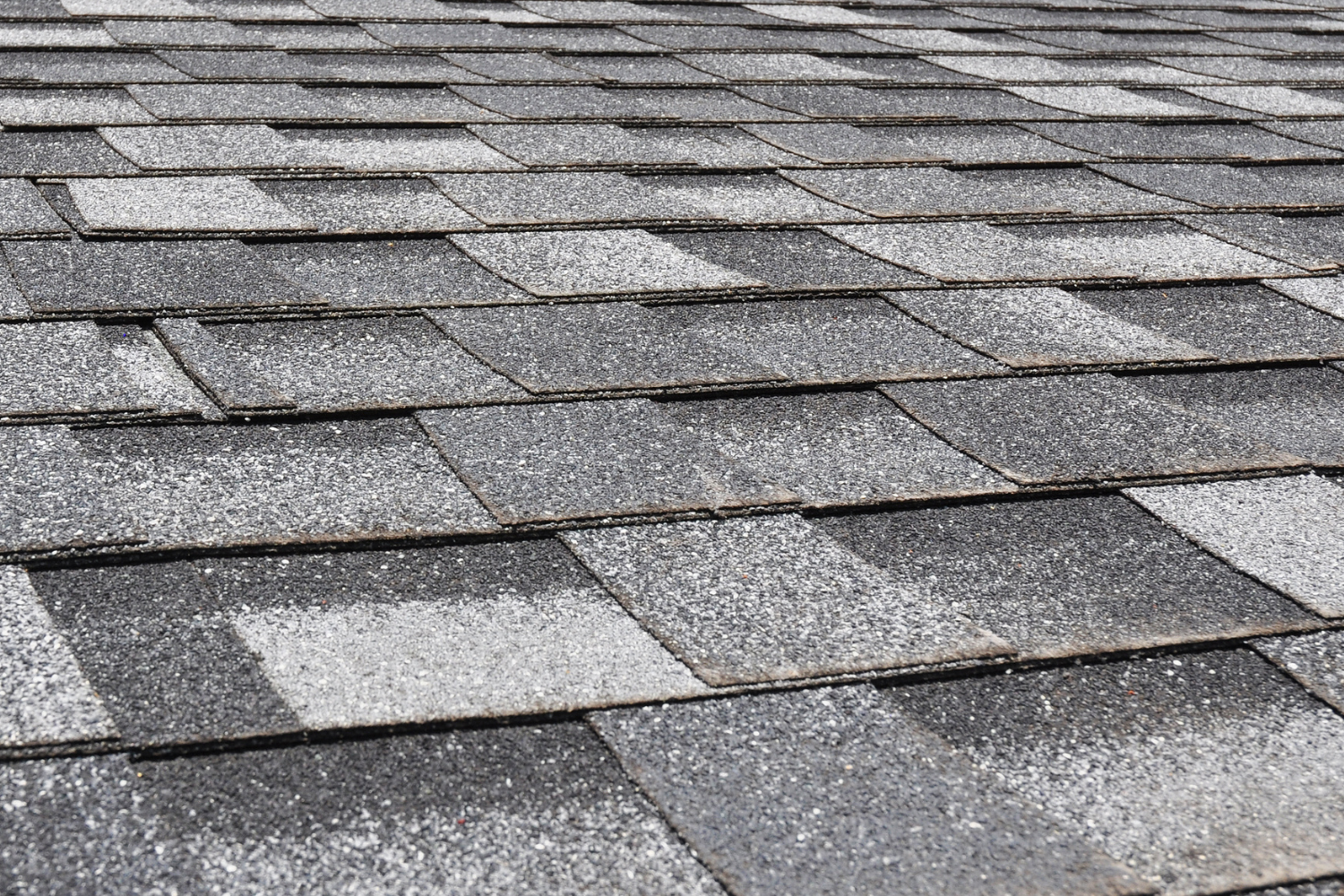Close-up of weathered gray asphalt shingles on a roof