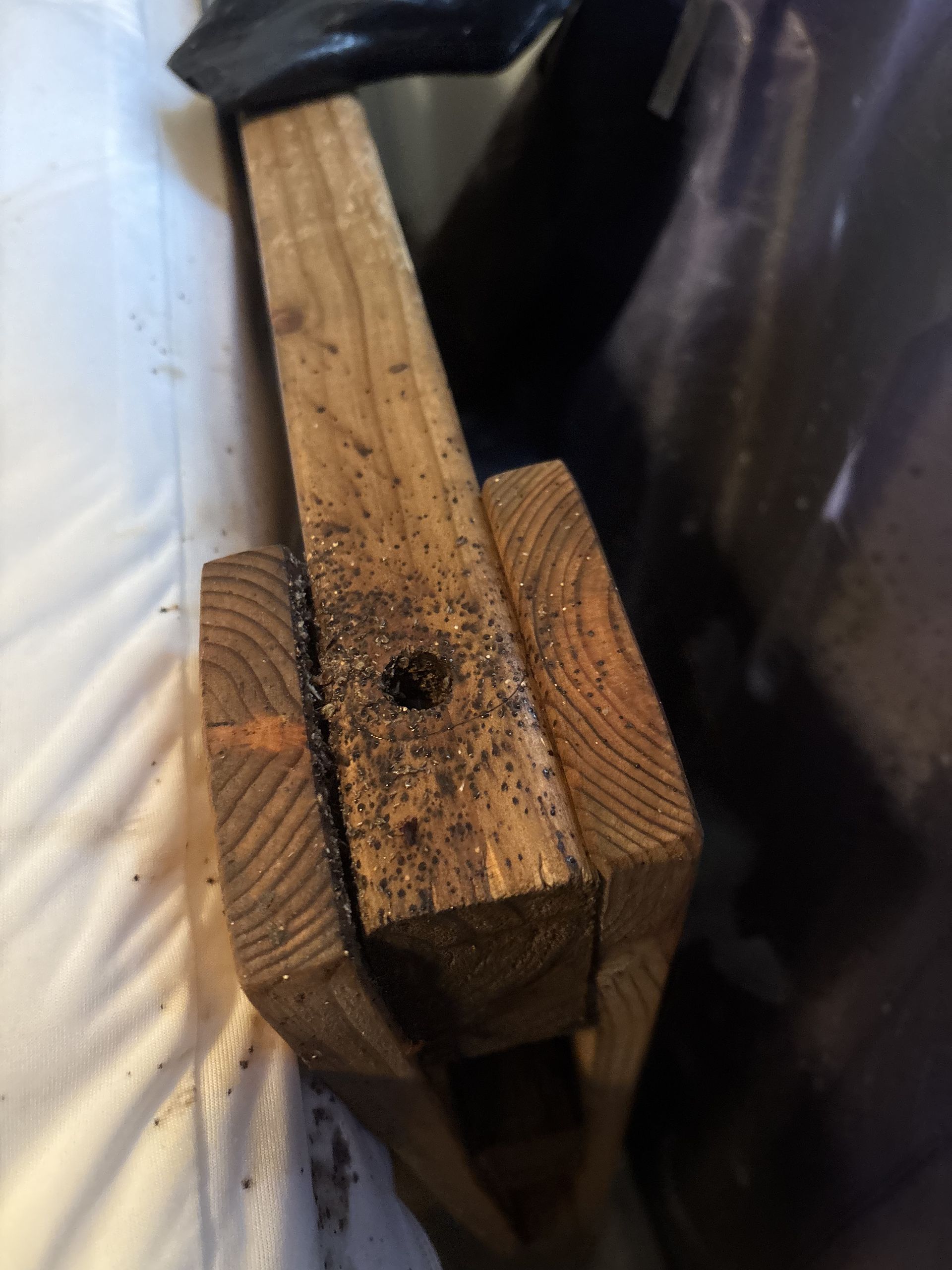 Wooden beam with a hole, covered in dark debris, likely from insect infestation.