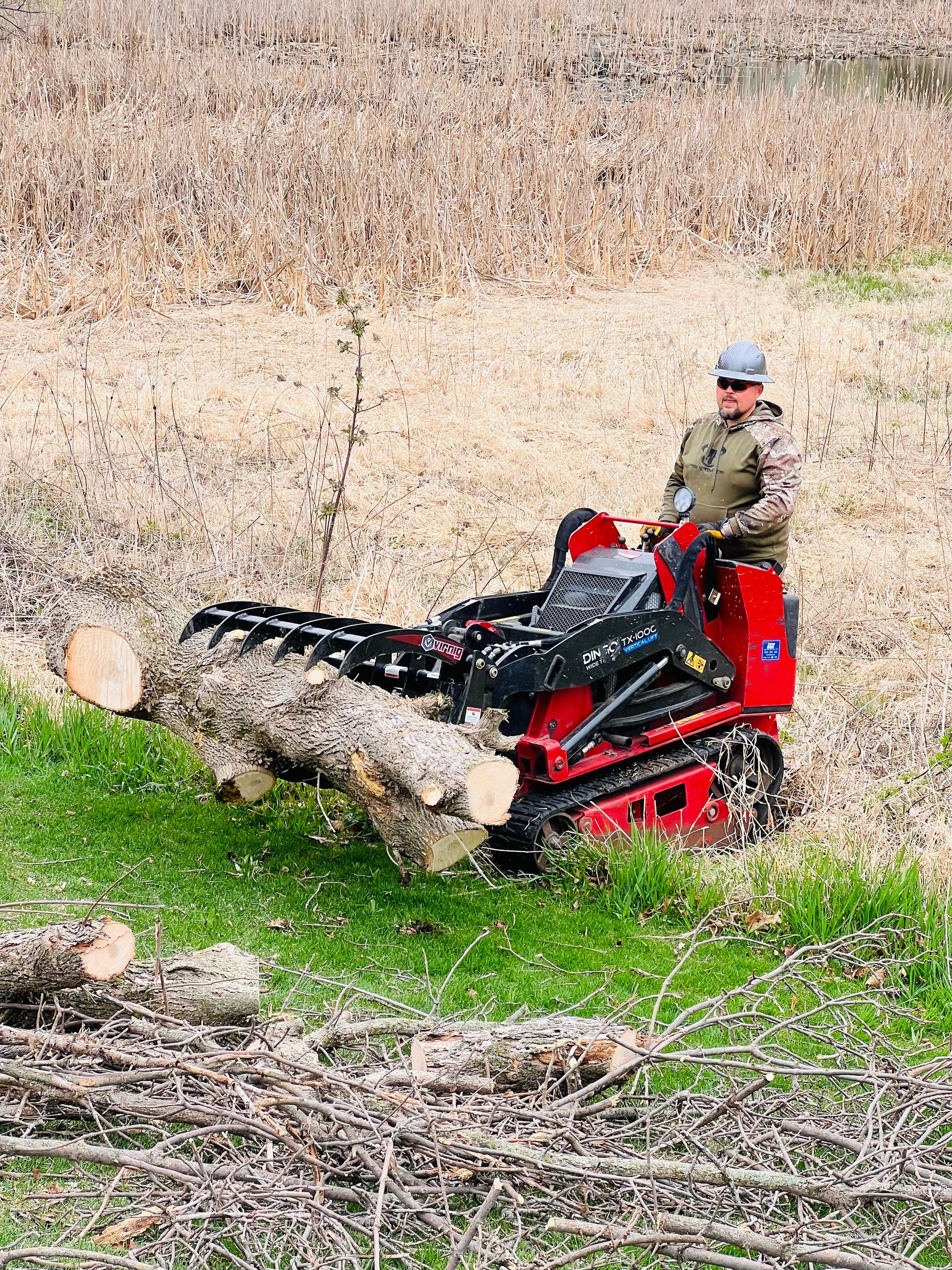 tree service