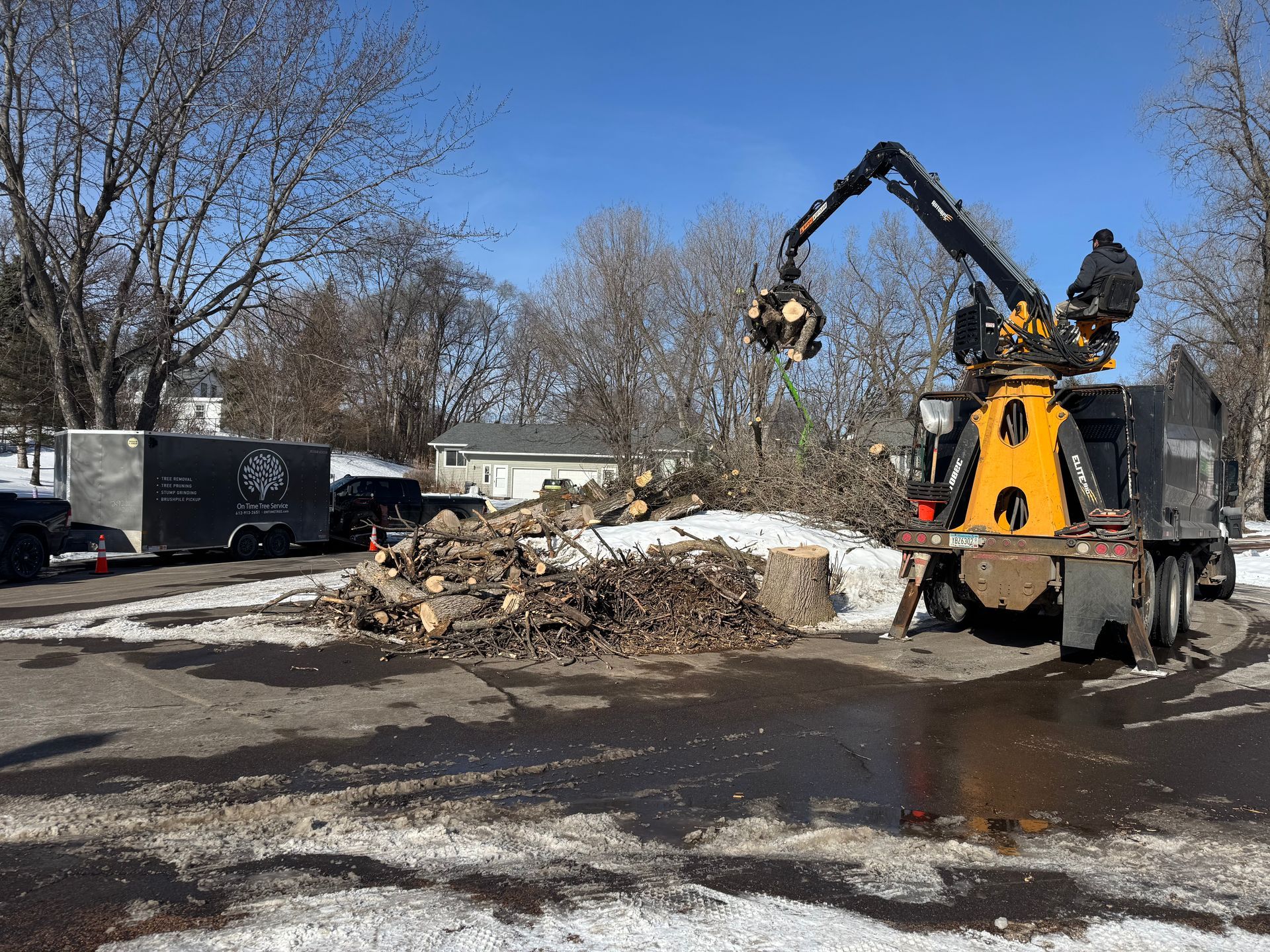 tree service