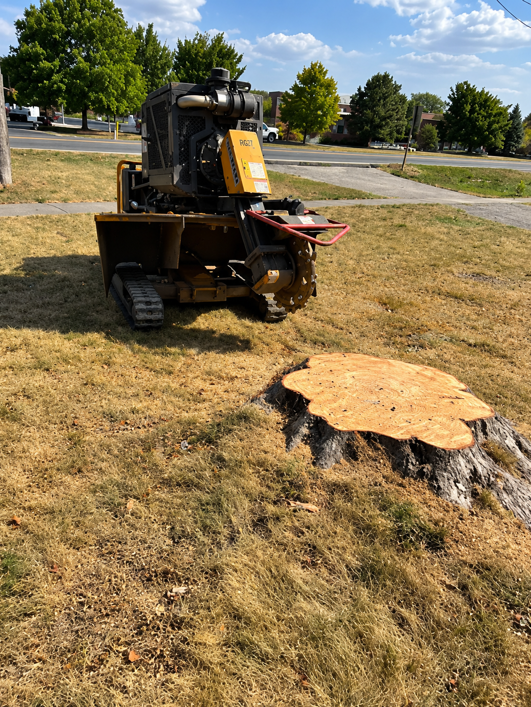 Skid steer in a grassy lot beside a large tree stump, with wood chips scattered around. Skid steer in a grassy lot beside a large tree stump, with wood chips scattered around.
