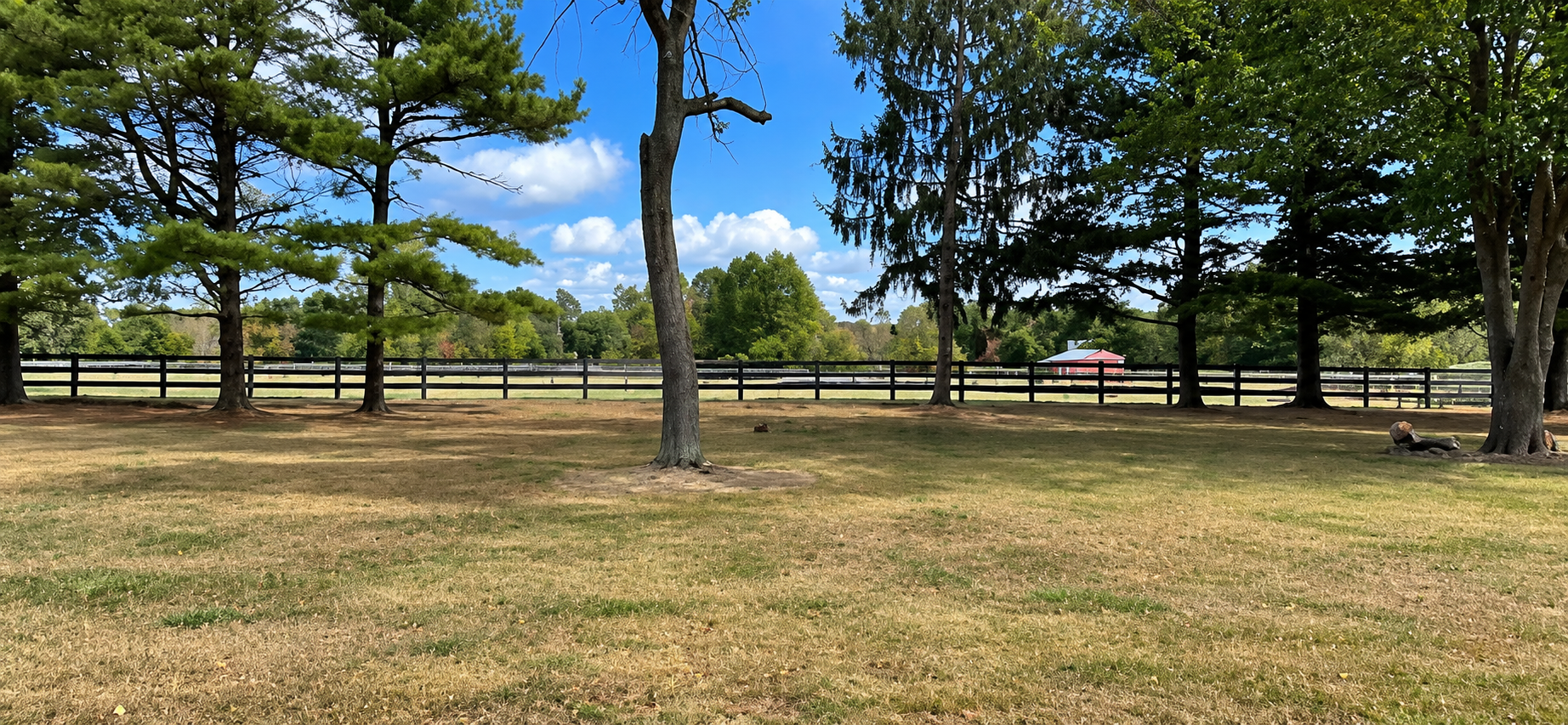 Tree-lined grassy field with a wooden fence under a partly cloudy blue sky
