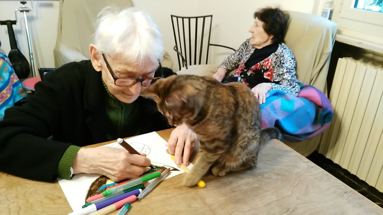 Pet therapy