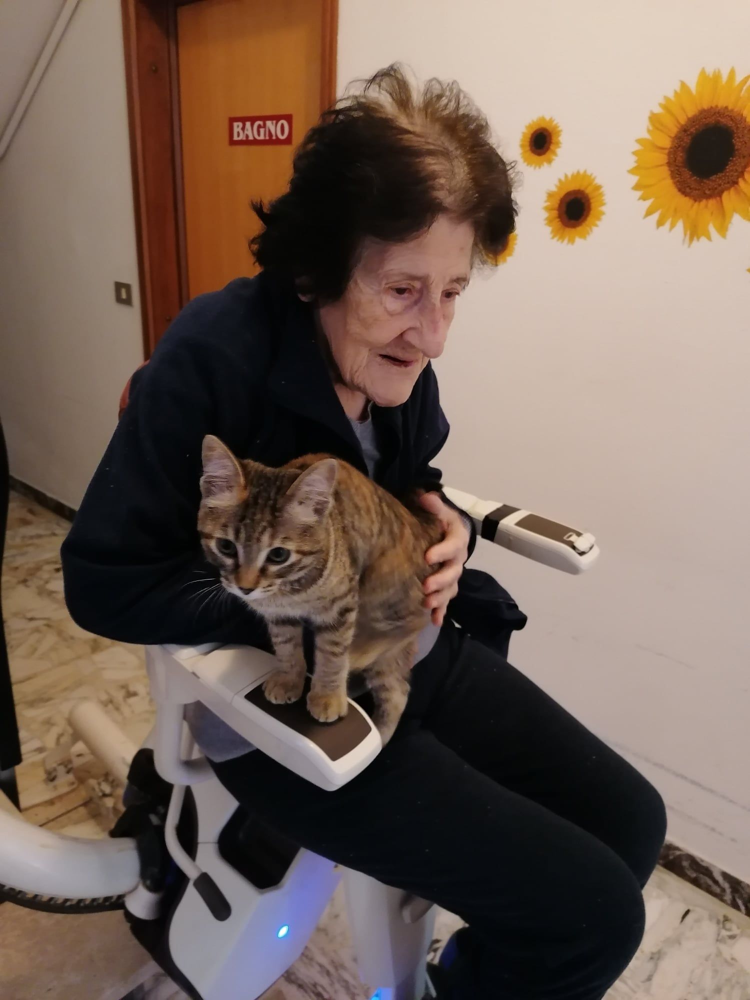 Pet therapy