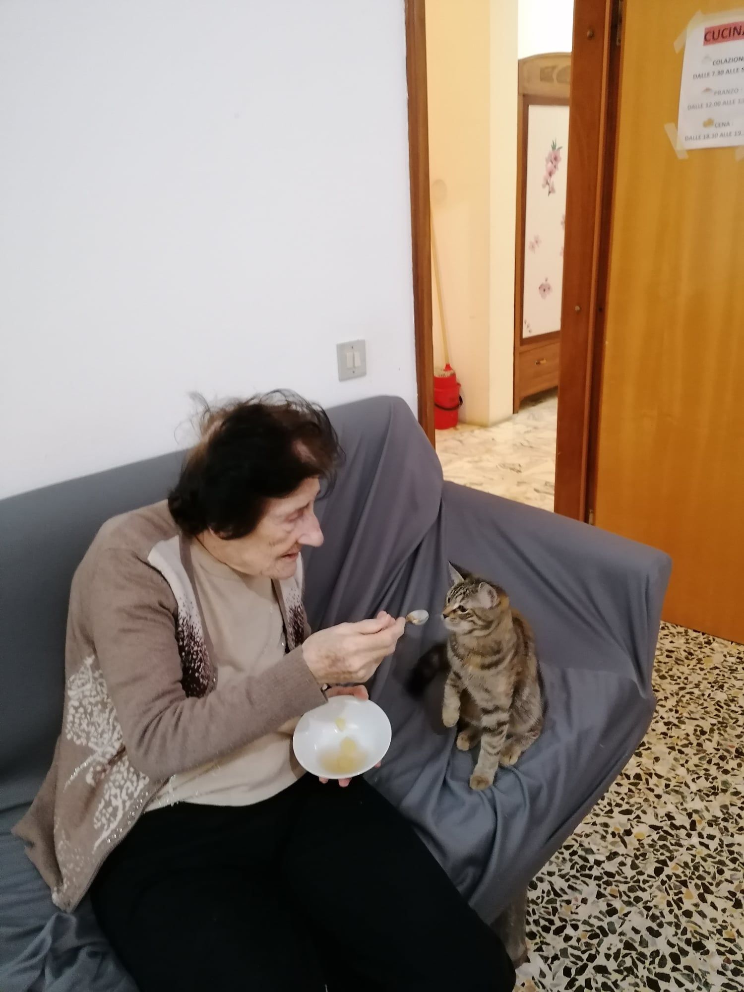 Anziana con gatto