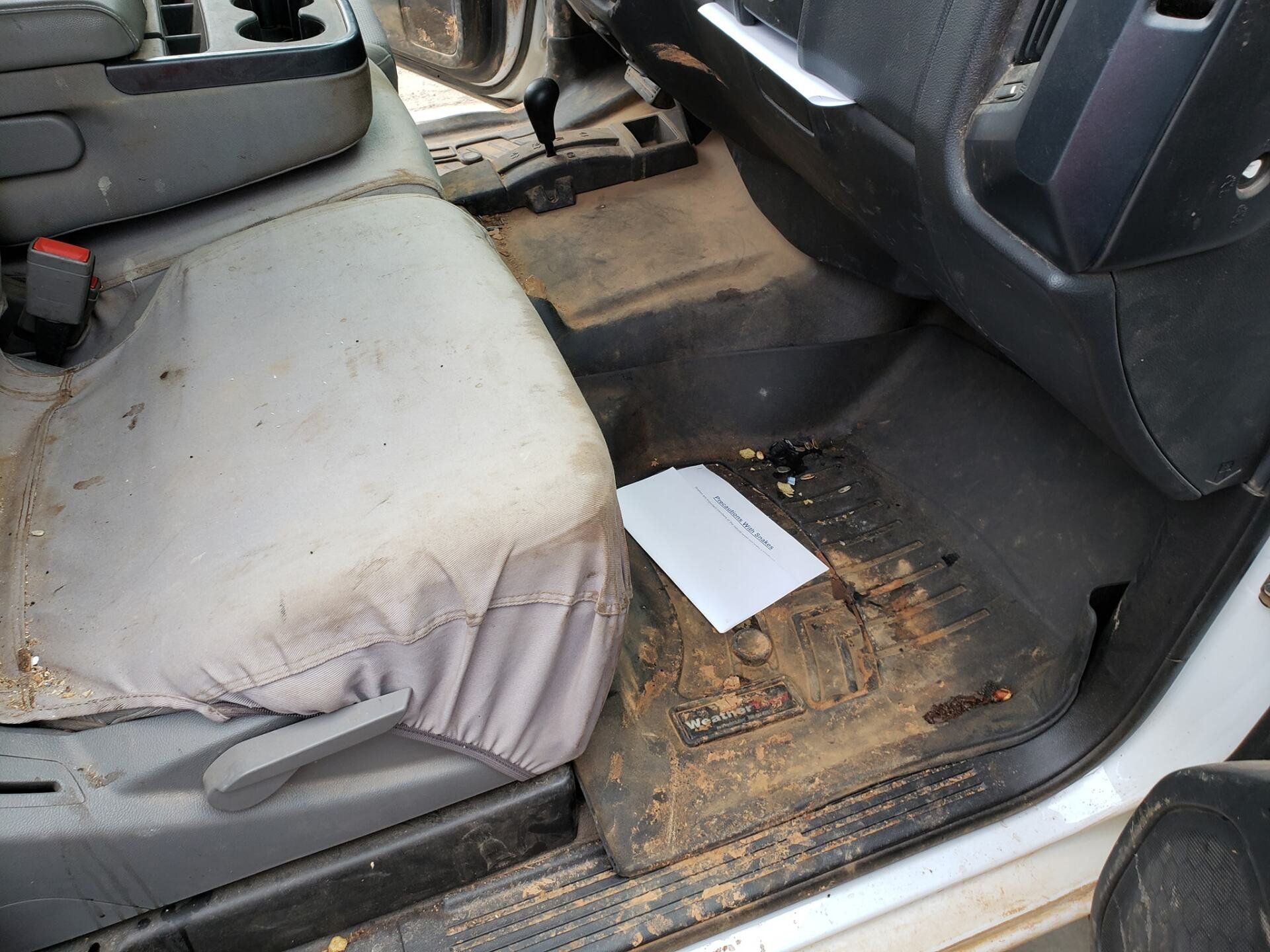 Before Car Seat