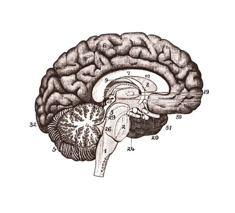 DR. JUAN CARLOS GARCÍA REGIL - Tumores cerebrales