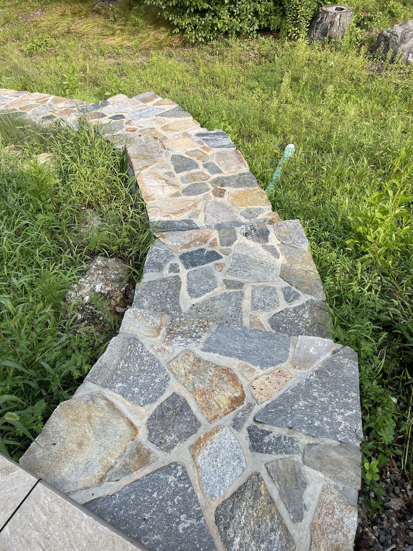 Curved stone walkway bordered by grass and wildflowers