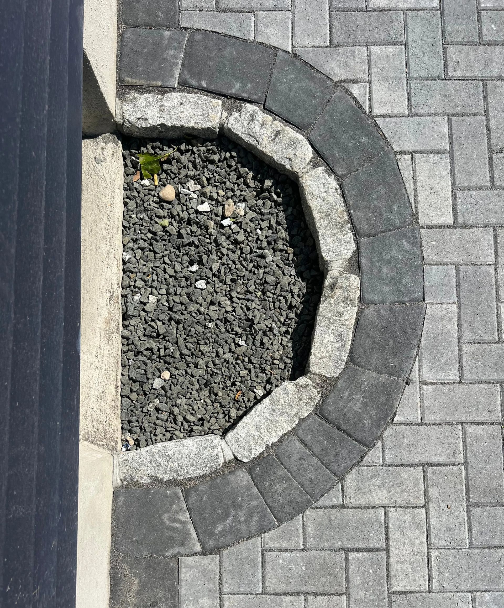 Round stone-edged tree pit set in gray paver sidewalk.