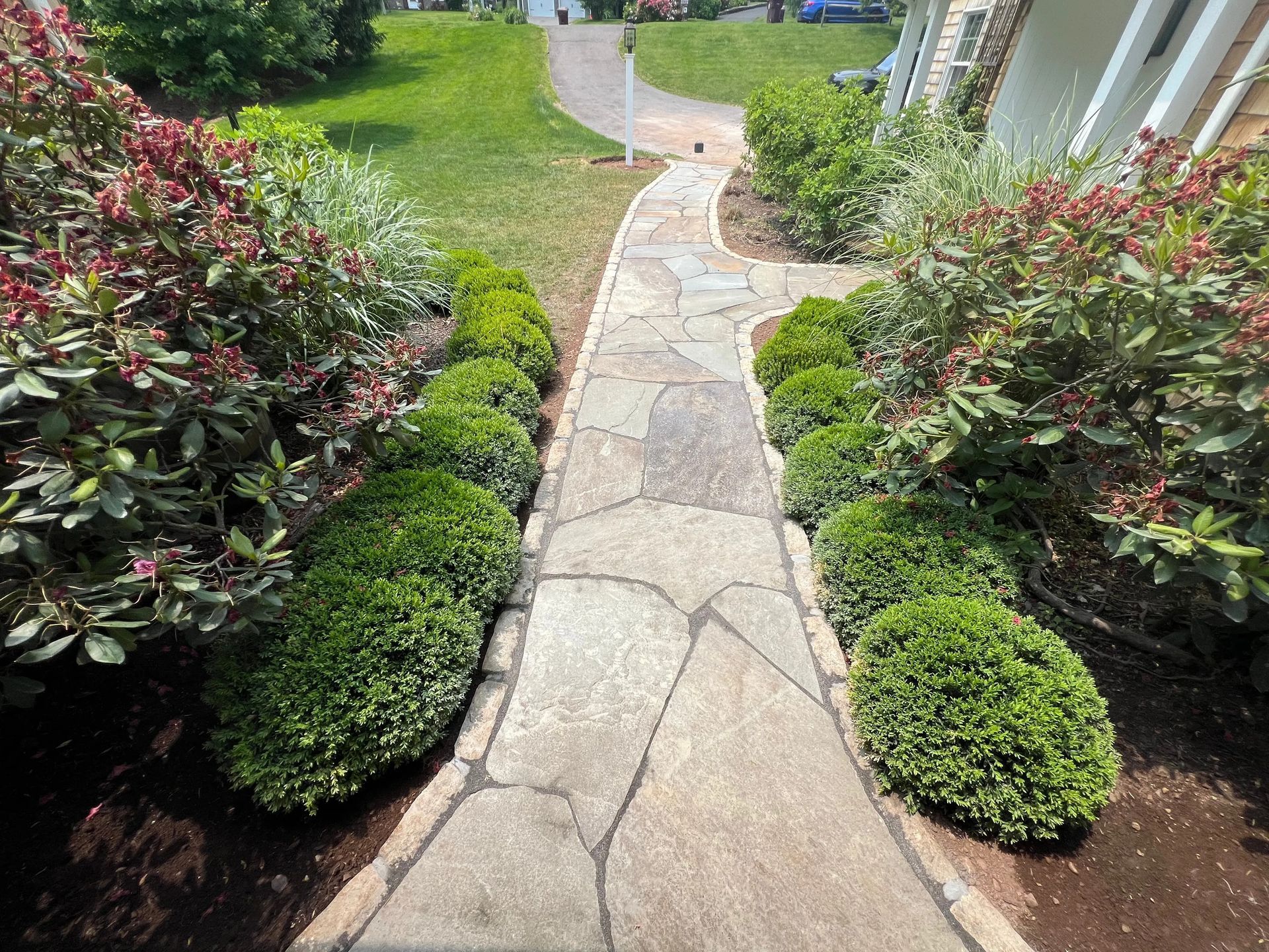 Stone garden path bordered by green shrubs and red-leafed bushes leading to a house entrance