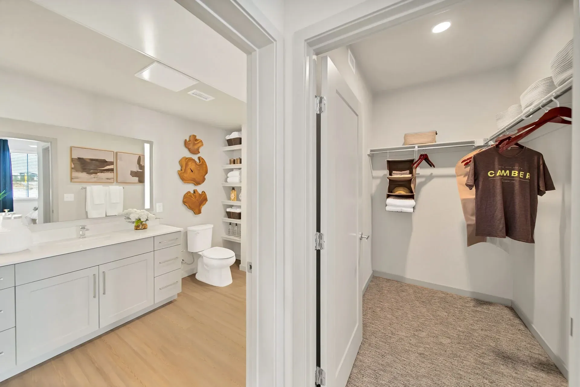 Bathroom vanity, toilet, and walk-in closet with organized shelves and hanging clothes.