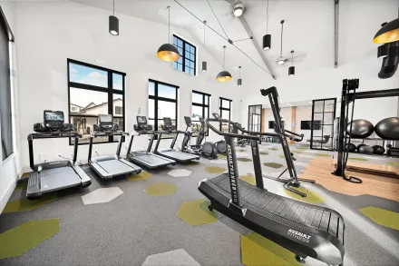 Bright gym interior with treadmills, weight machines, and large windows along the wall