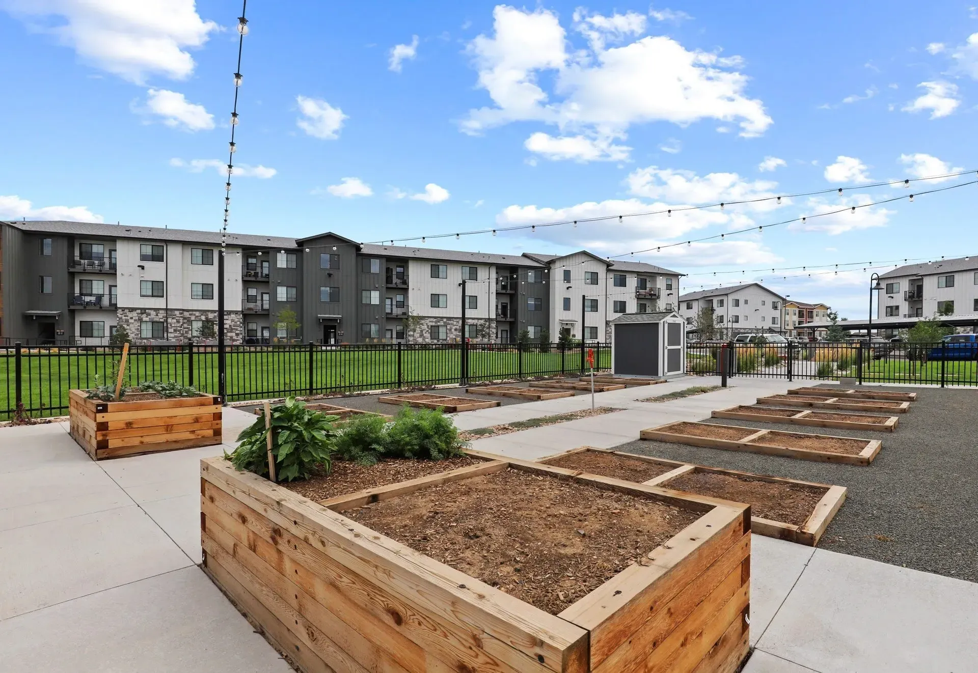 Community garden with raised beds and apartment buildings in the background.