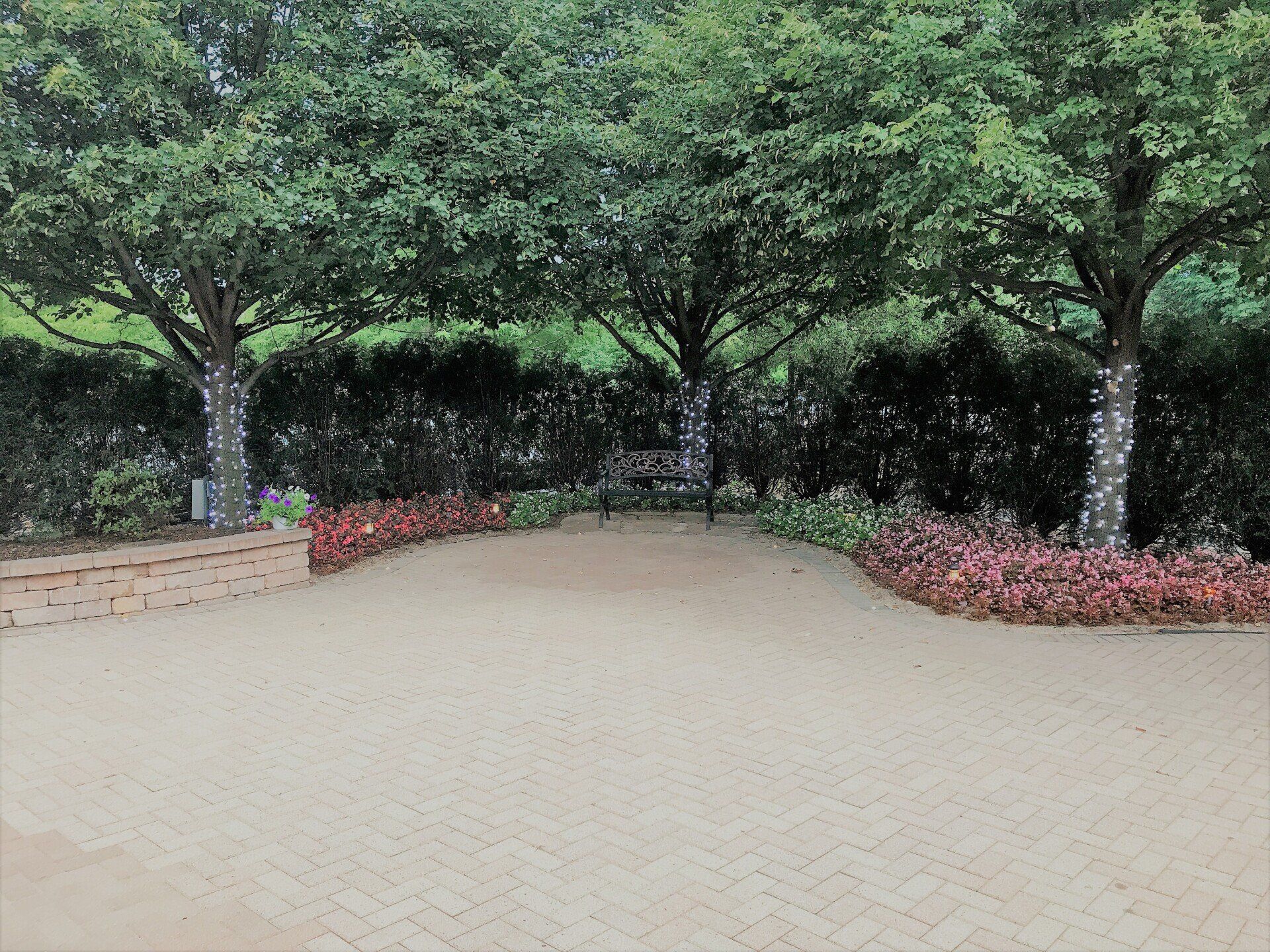 Brick walkway lined with trees and red flowers in a quiet park