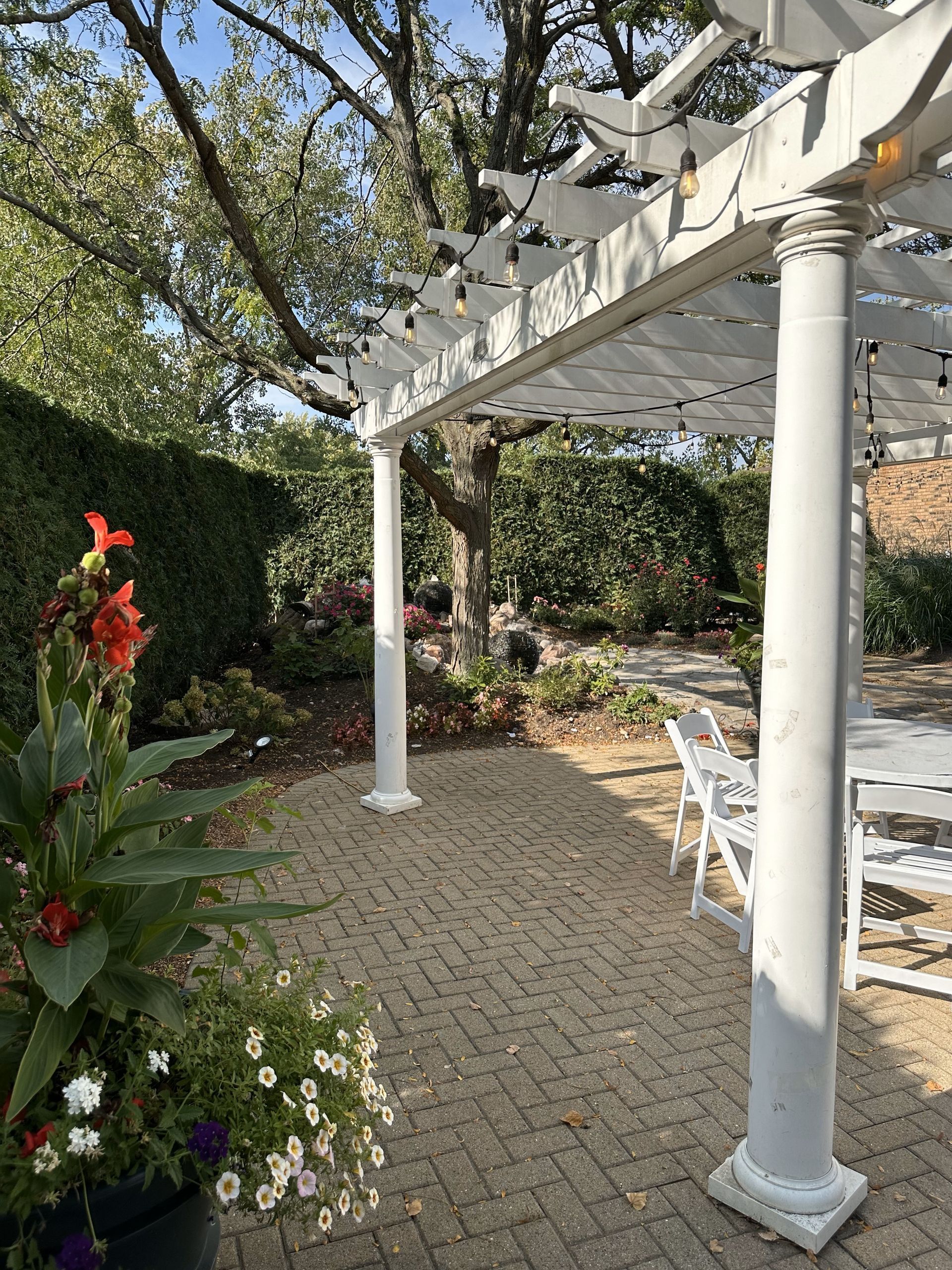 Sunlit garden patio with white pergola, columns, paved path, and flowering plants