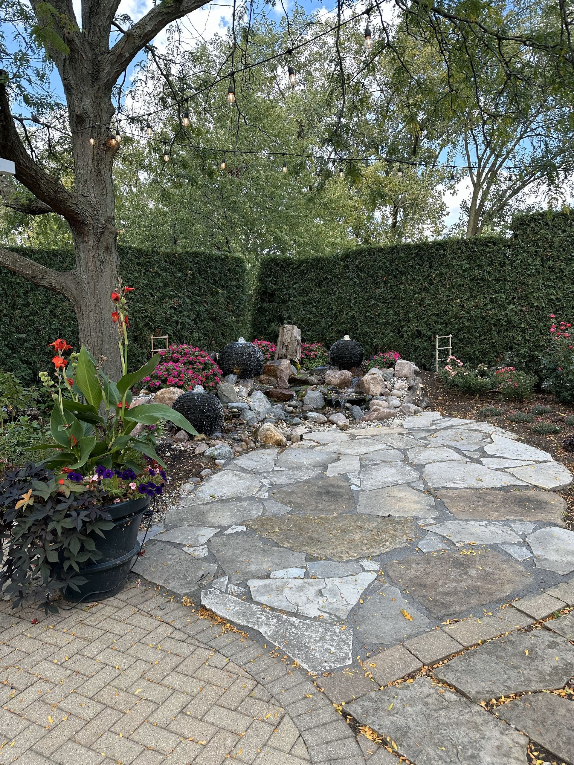 Garden with stone patio, hedge wall, tree, and flower beds beside a paved path.