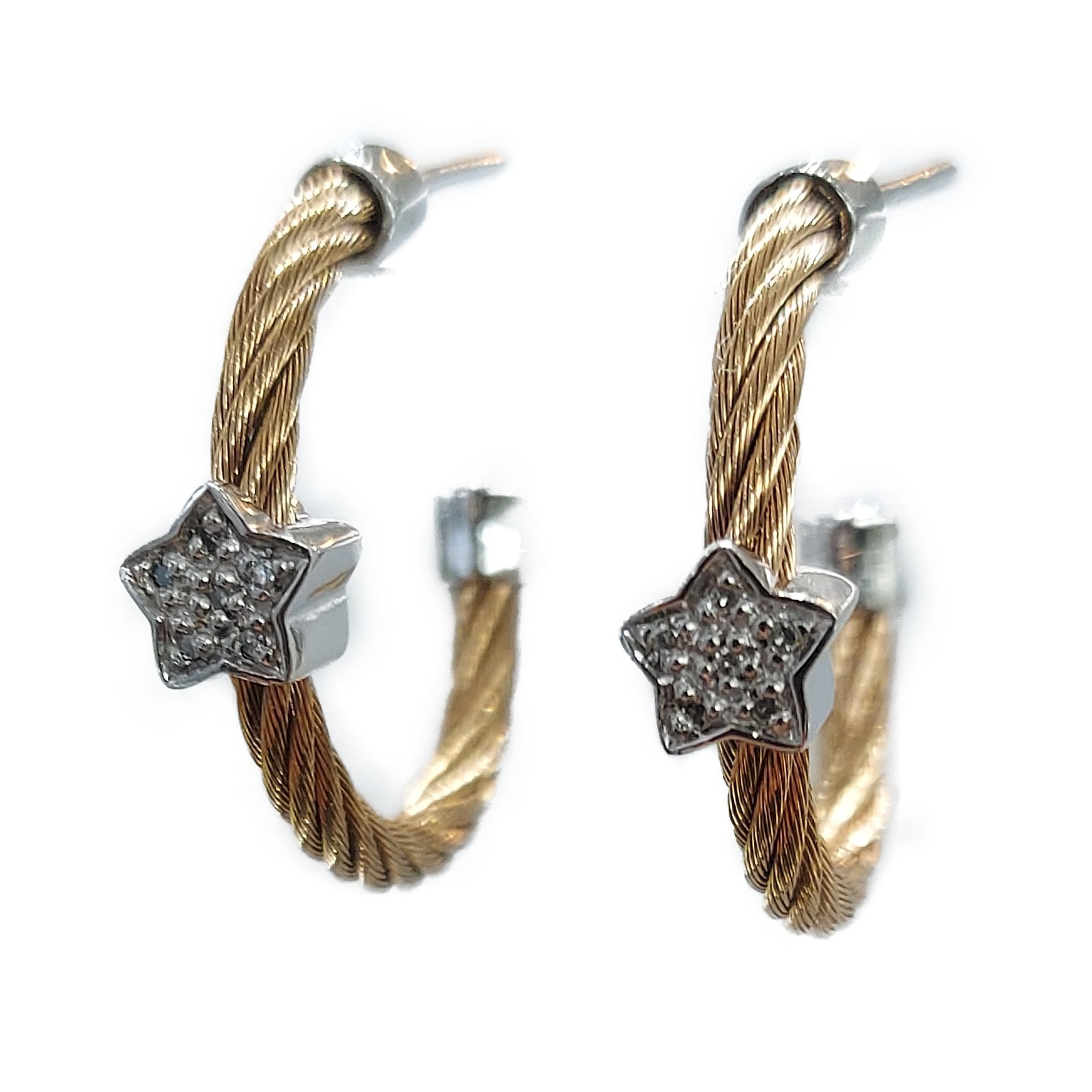 Steel and Diamond Earrings