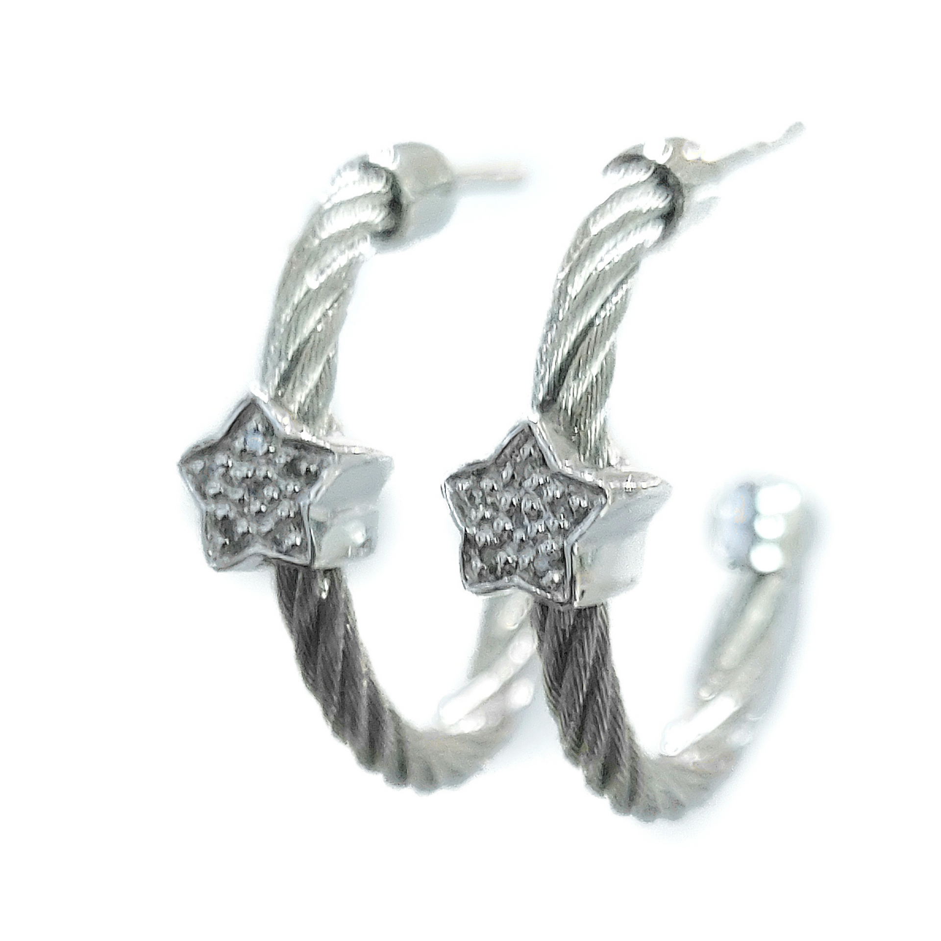 Steel and Diamond Earrings