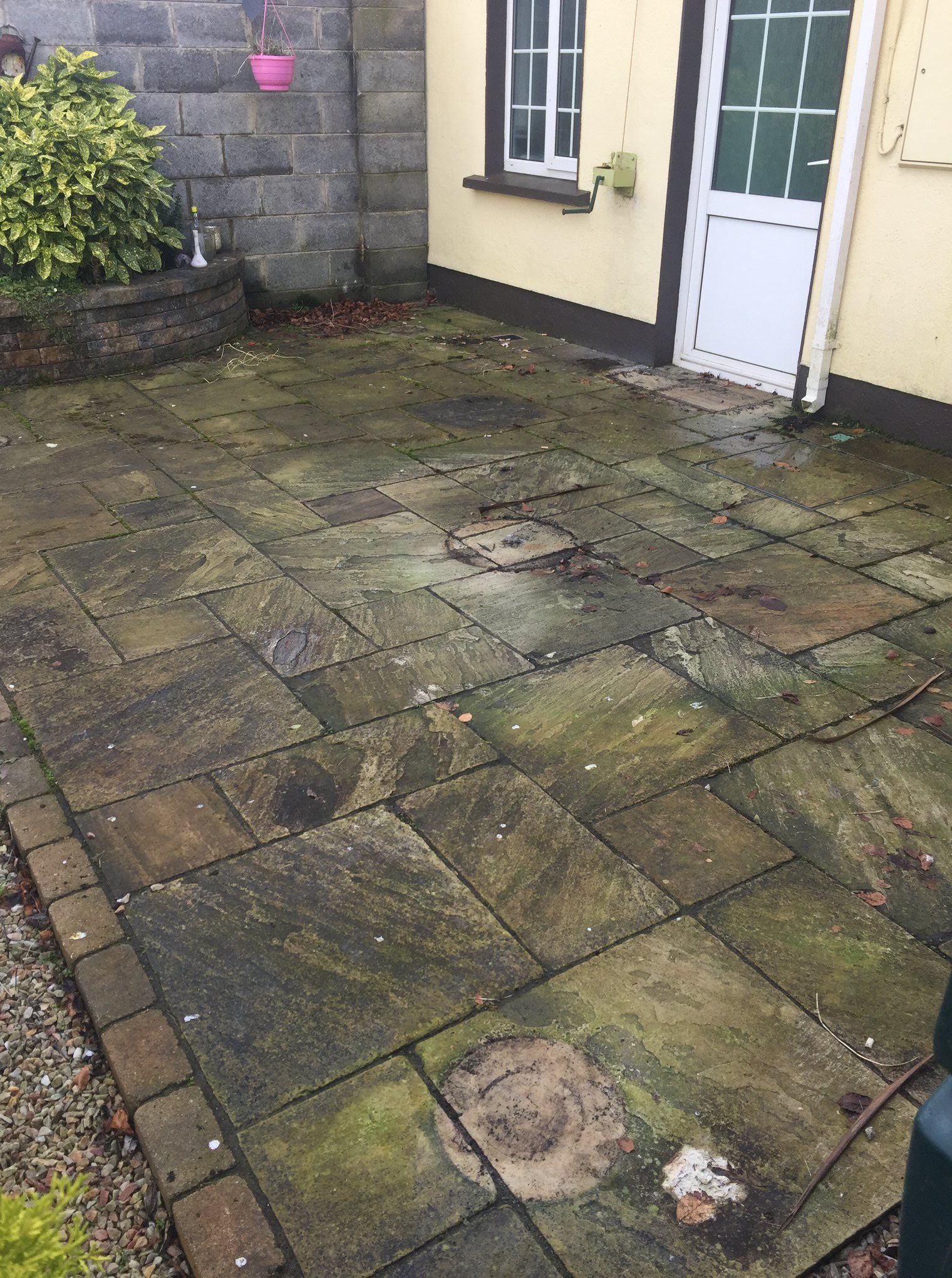 A patio with moss growing on it in front of a house.