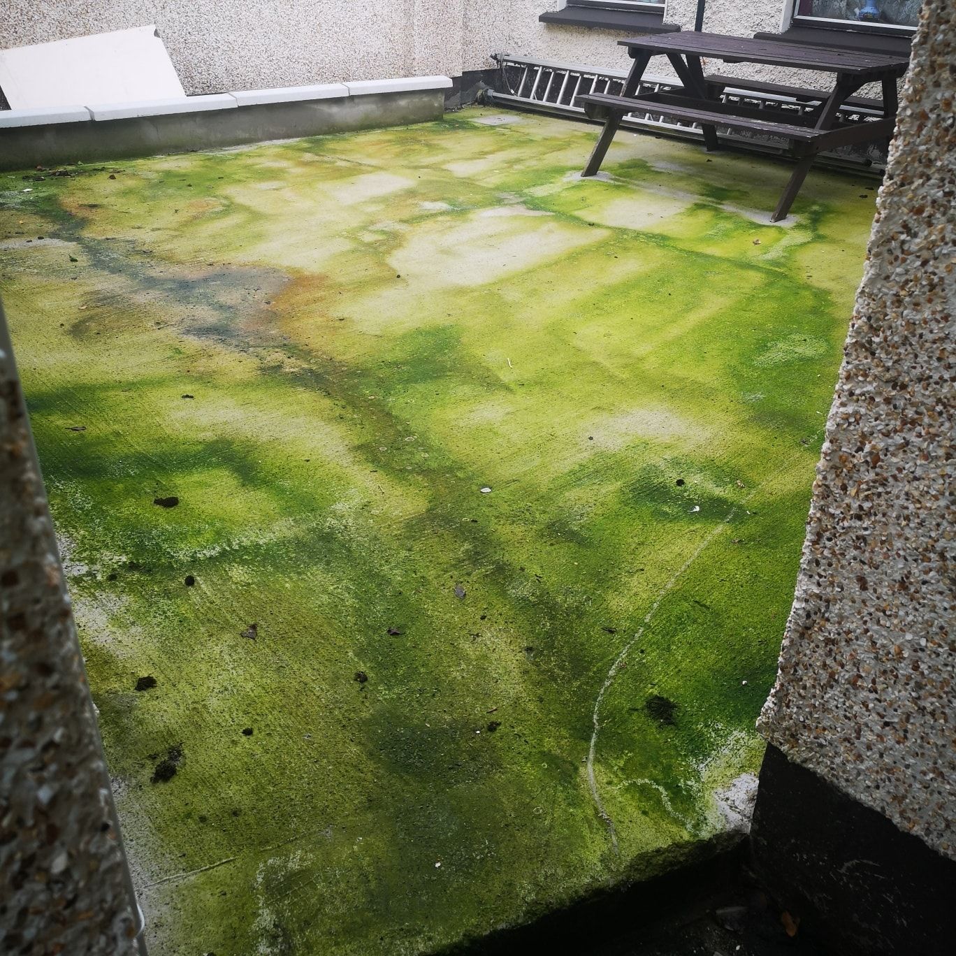 A patio with a picnic table and benches covered in green moss.
