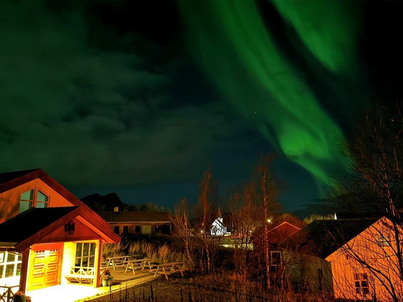 Nordlys over et snødekt nabolag om natten, med varme huslys og mørke trær