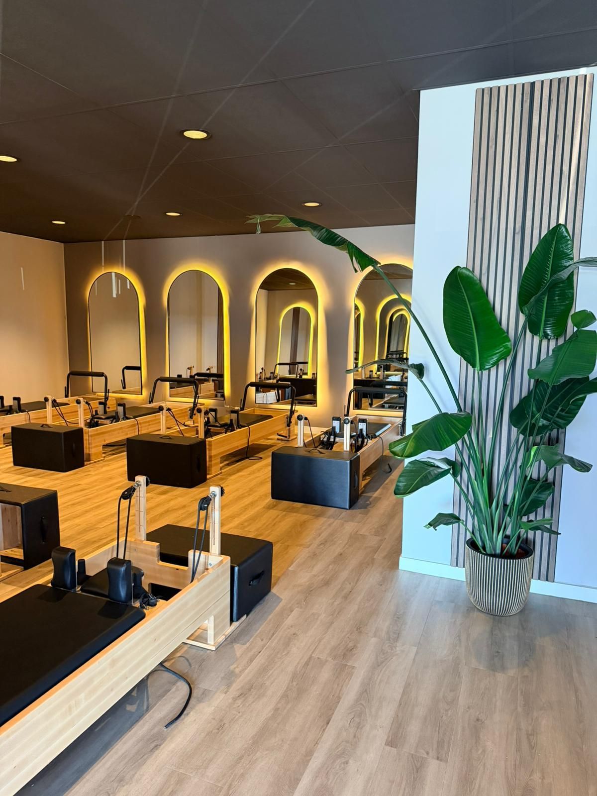 Moderne lounge met beige banken, gewelfde muurnissen en een hoge potplant in een lichte, luchtige ruimte.