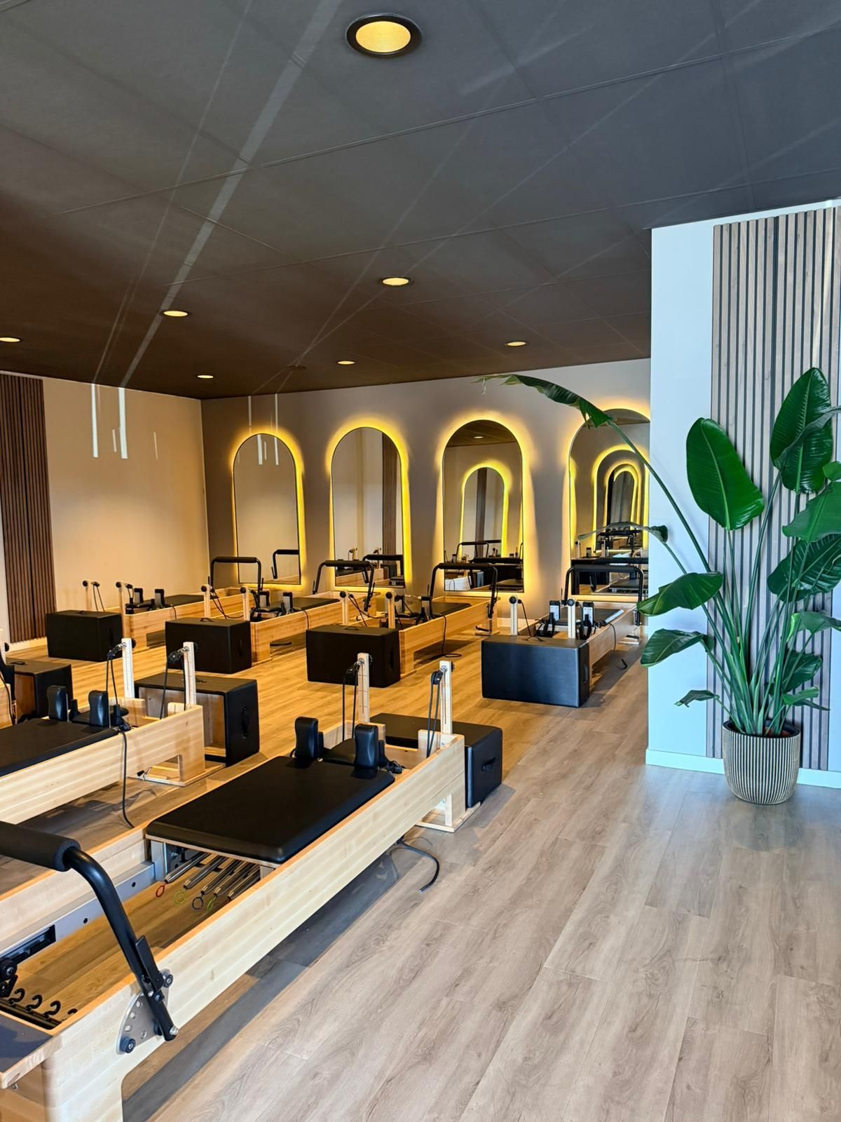 Moderne Pilatesstudio met reformerapparaten, gebogen spiegels en grote potplanten.