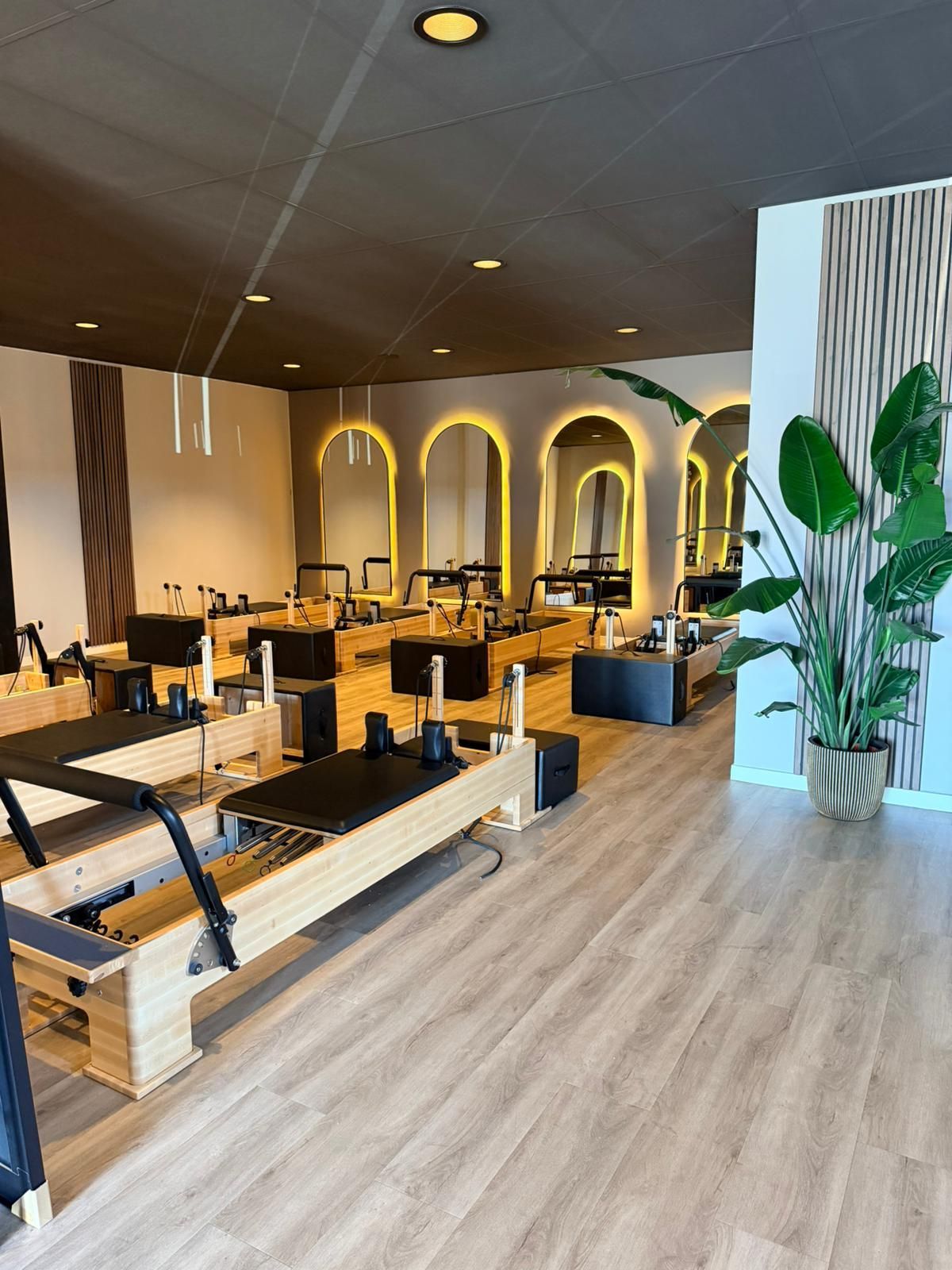 Moderne Pilatesstudio met reformers, gebogen spiegels en een grote potplant.