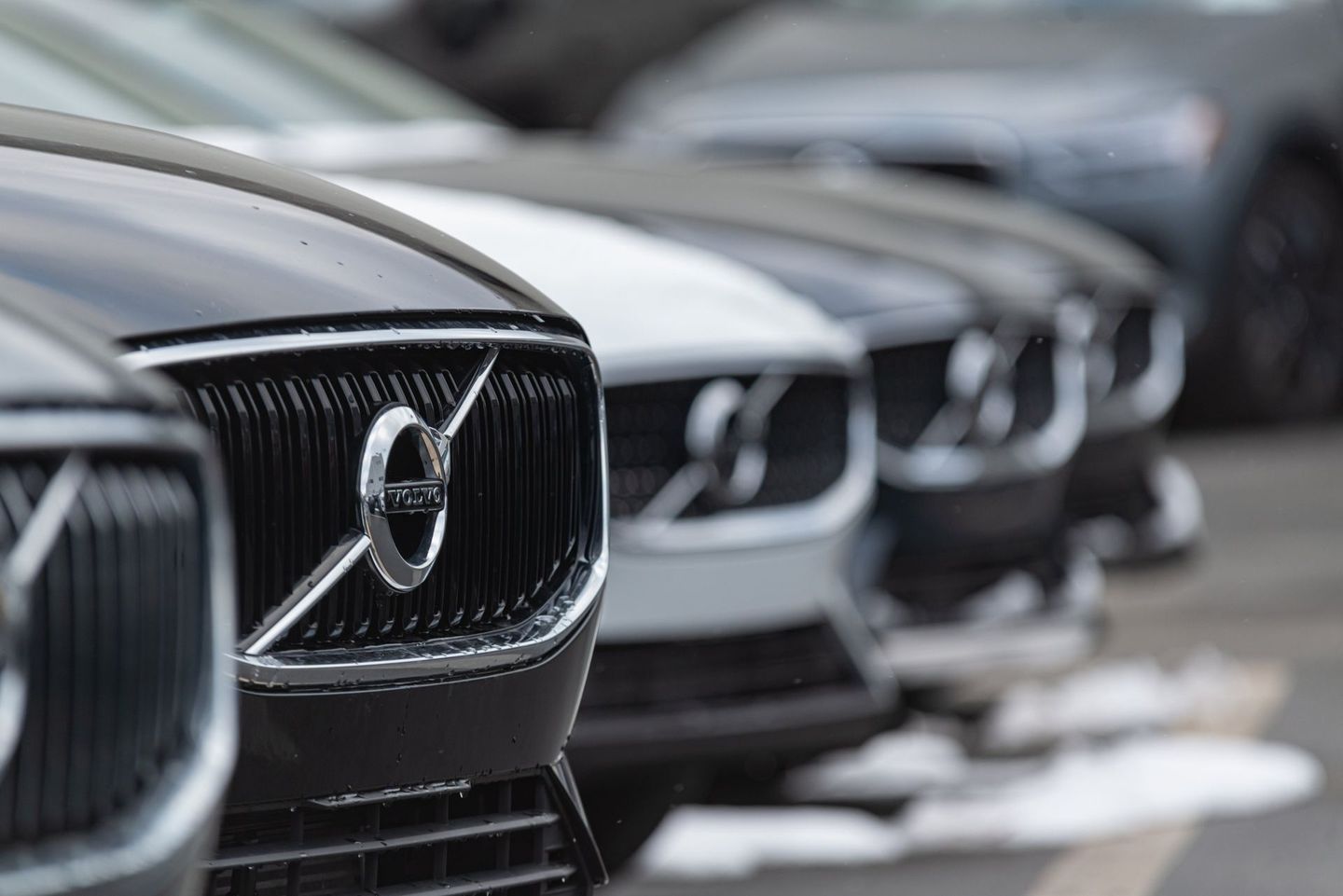 Row Of Parked Black Cars At Dealership Lot | Roy's Auto Service