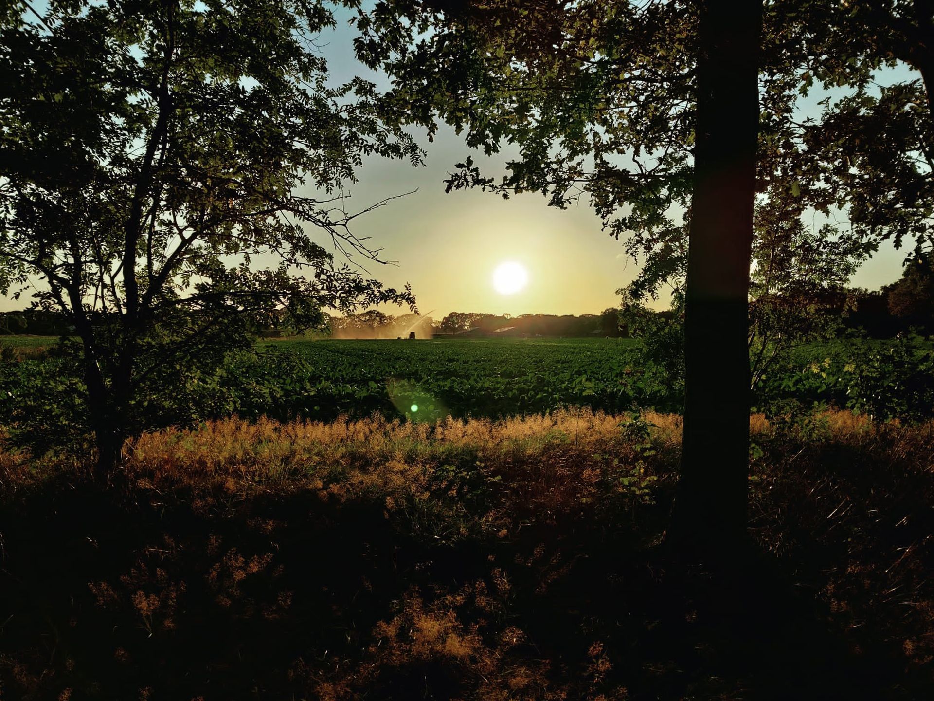 Holistische Psychologie, Dhanu, Deurne, Meditatie, Yoga, Burn-out, groei, angst,