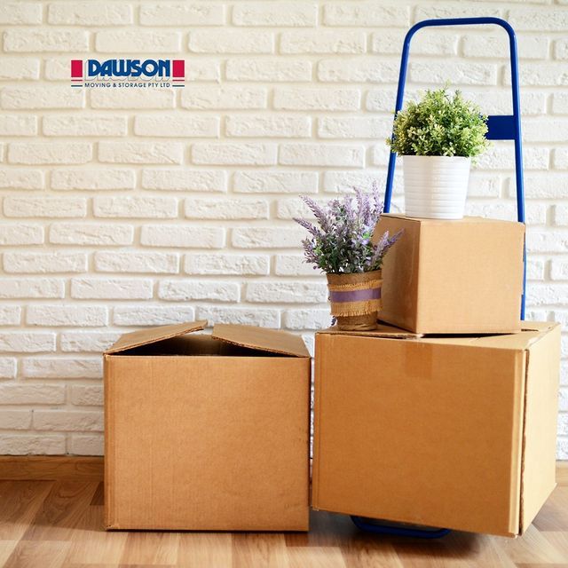 Three Boxes Being Moved With Two Plants On Their Upper Surfaces — Dawson Moving & Storage NQ in Melbourne, VIC