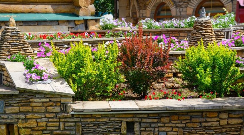 Stone garden planter with pink flowers and green shrubs in front of a rustic wall