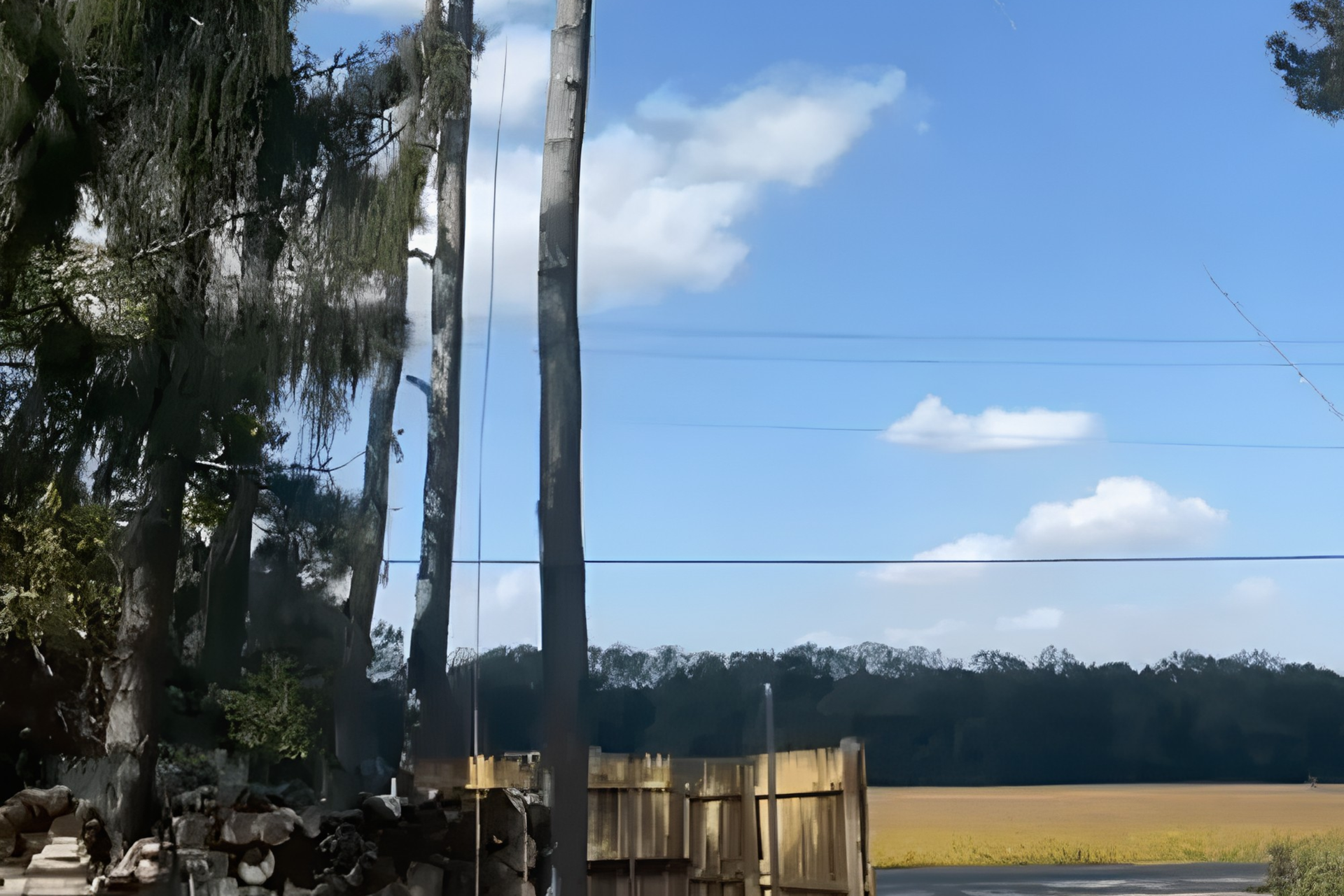 After tree removal in Dover DE — cleared landscape with trees safely removed, revealing an open field and clear blue sky