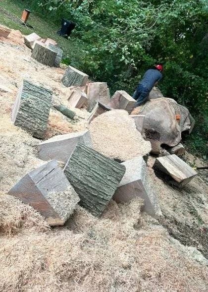 Lot clearing and tree removal in Smyrna DE — heavy cut tree blocks resting on a sawdust-covered slope