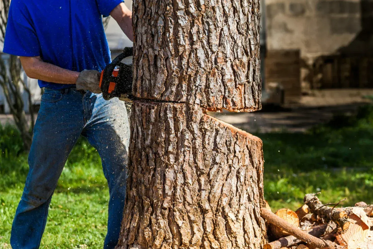 Tree removal in Camden DE — close-up of a worker using a chainsaw to fell a large tree