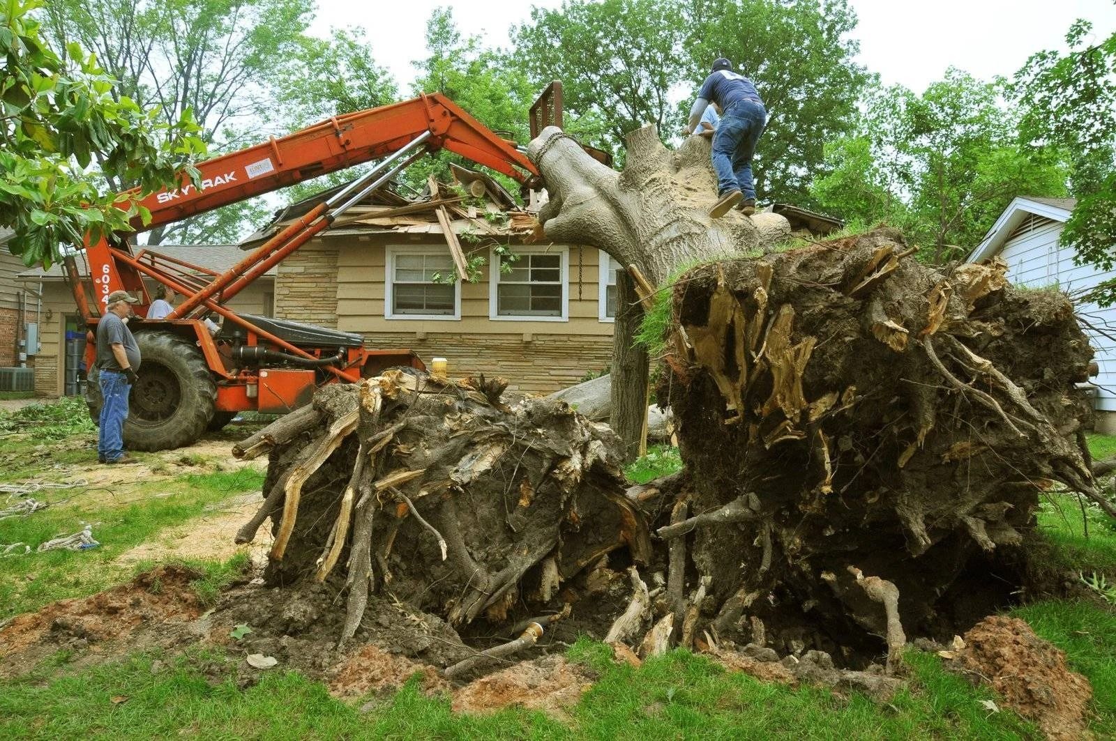 Storm cleanup in Dover DE — removing a large uprooted tree near a home