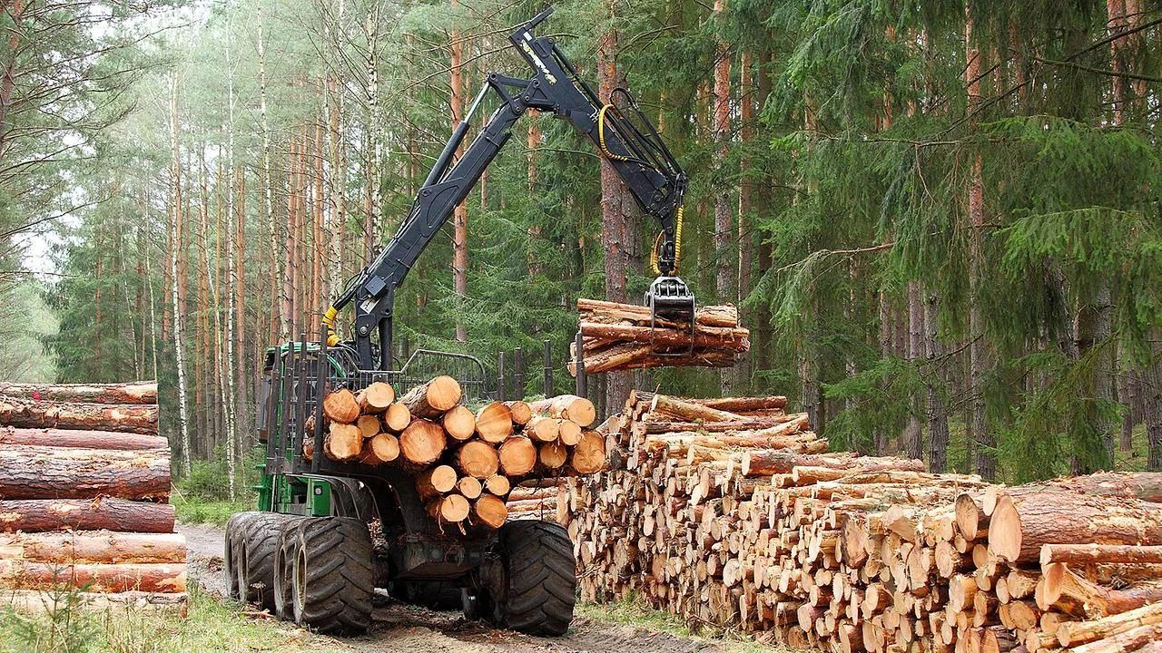 Lot clearing in Kent County DE — heavy forestry machinery loading stacked logs