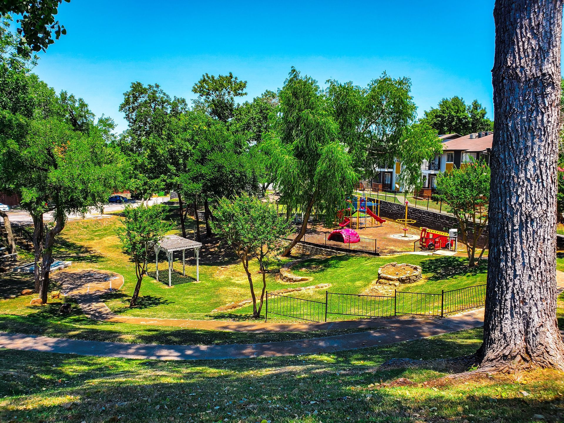 Sunny park with green trees, a playground, and a large tree trunk in the foreground