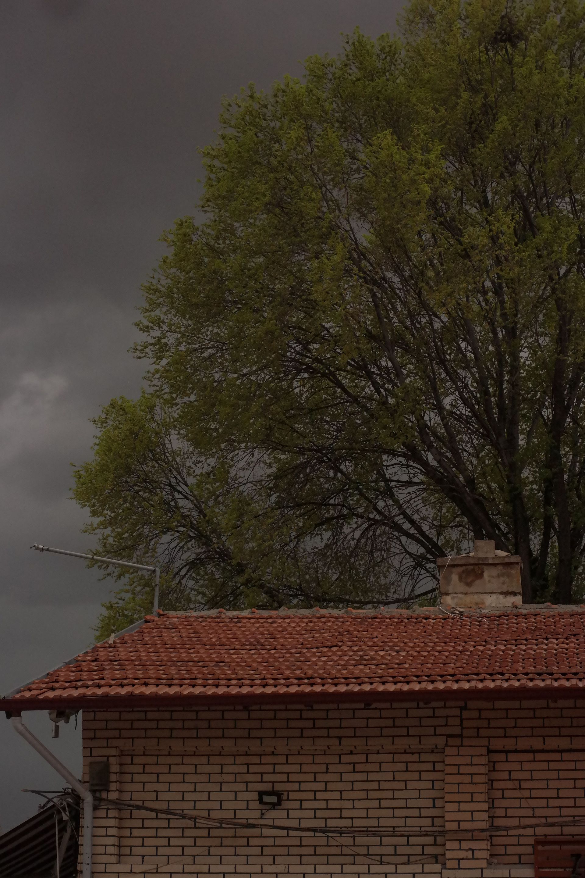 Brick house with red tiled roof beneath a large green tree under dark storm clouds