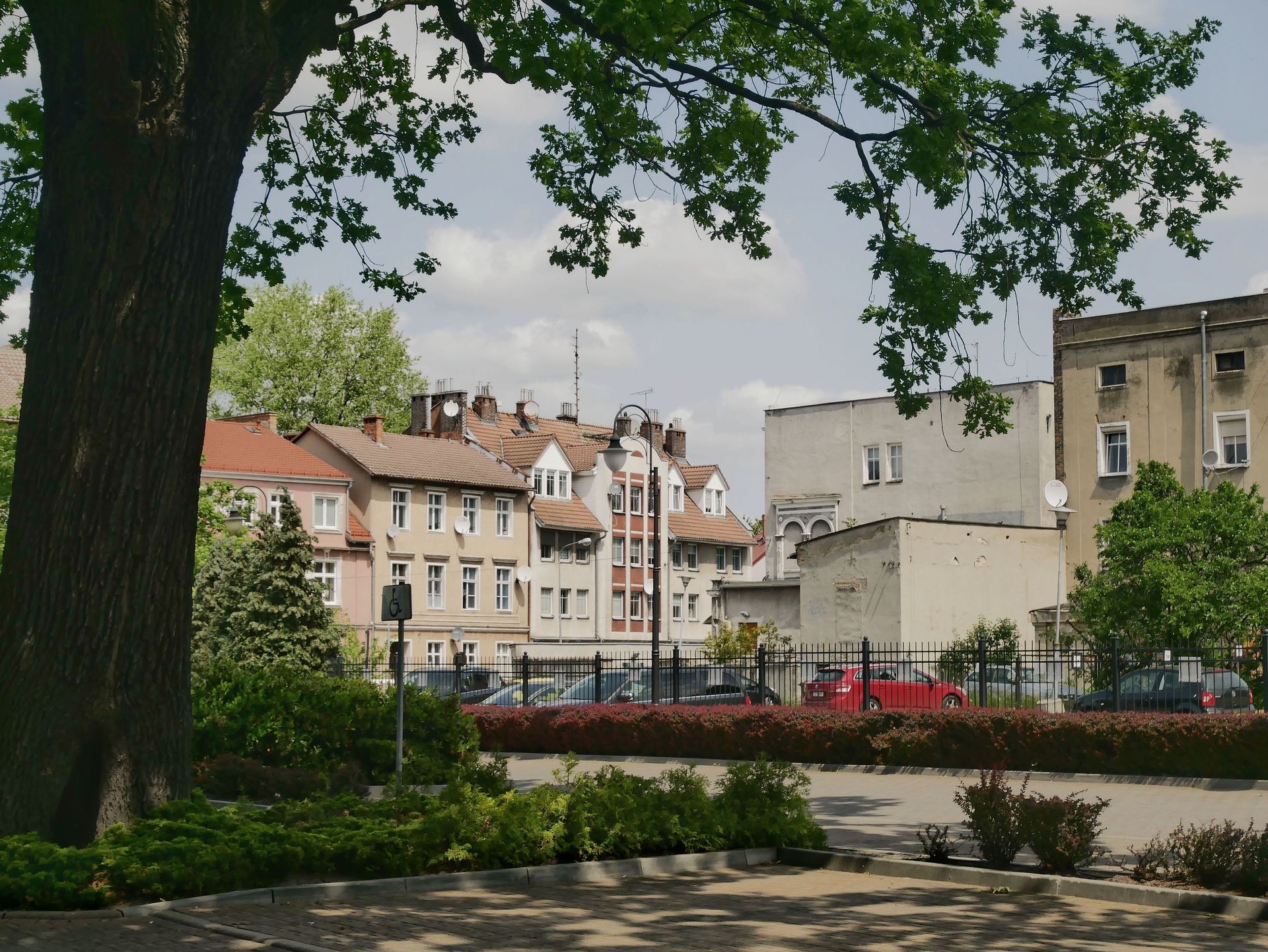 Tree-framed view of colorful buildings and parked cars along a quiet street by a canal or river.
