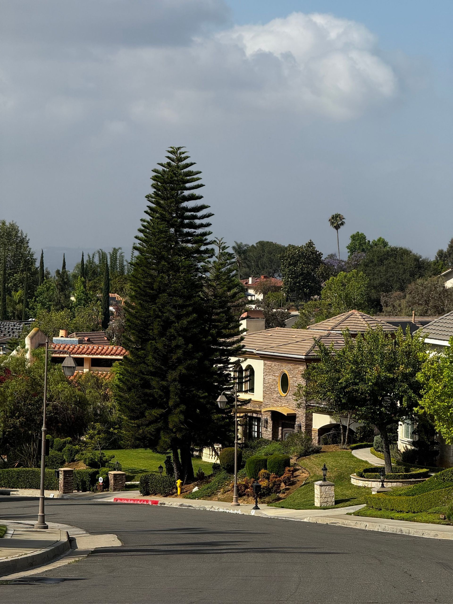 Quiet hillside neighborhood with stone houses, tall evergreen tree, and cloudy sky.