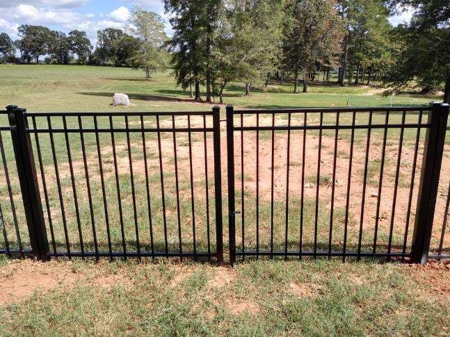 A black fence surrounds a grassy field with trees in the background.