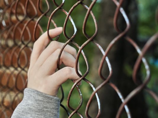 Replace your fence
