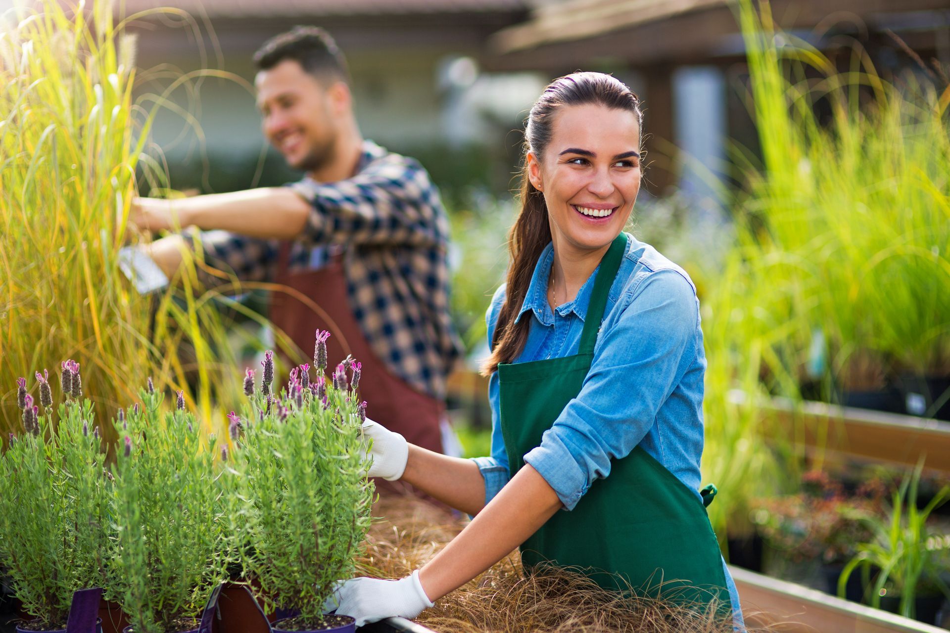 Two people gardening among potted herbs in a greenhouse, wearing aprons and smiling