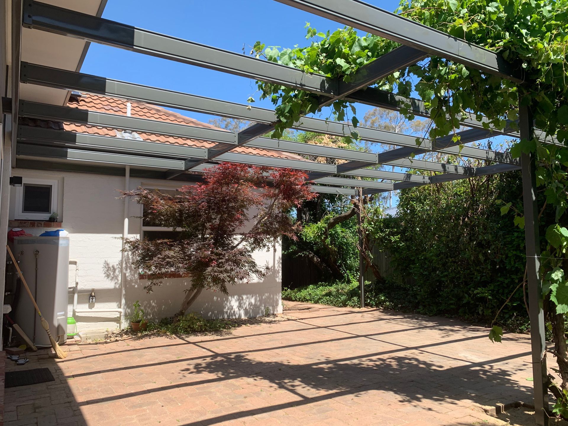 A patio area with a pergola covered in grapevines, next to a white house with a Japanese maple tree on a sunny day — Straight up Building Projects in Holt, ACT