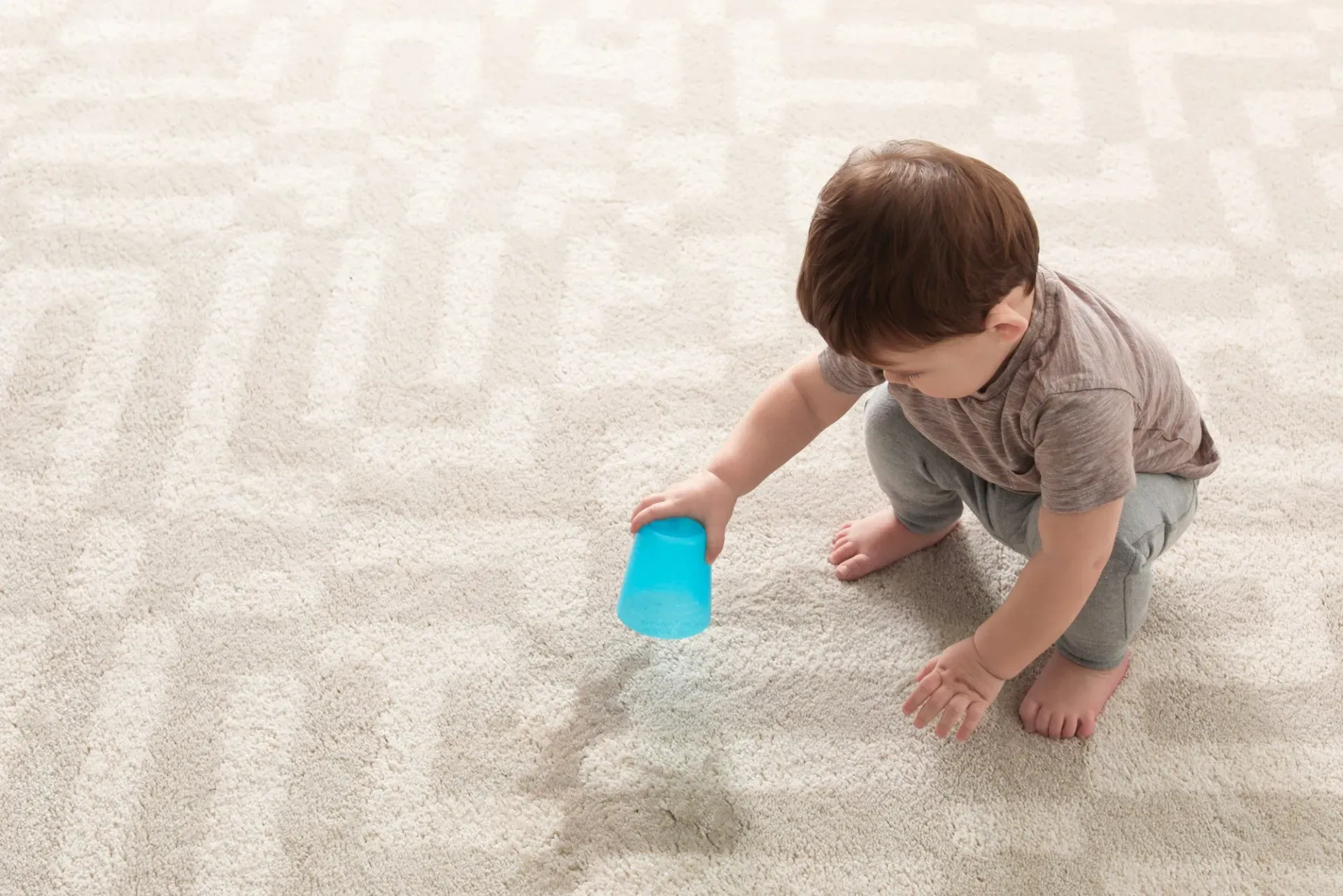 Can Water Damage Your Carpet? Find Out The Answer Here.