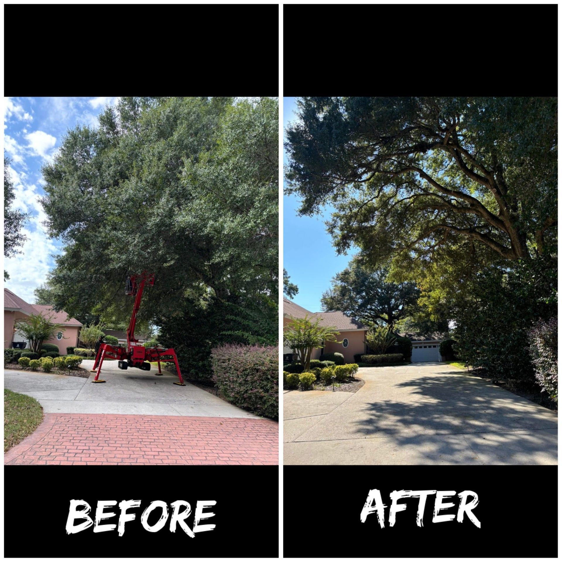 Tree Pruning